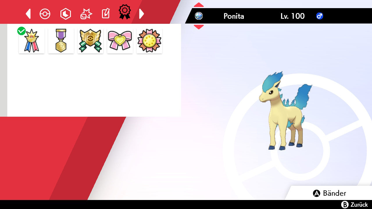 #077 Ponita SnS