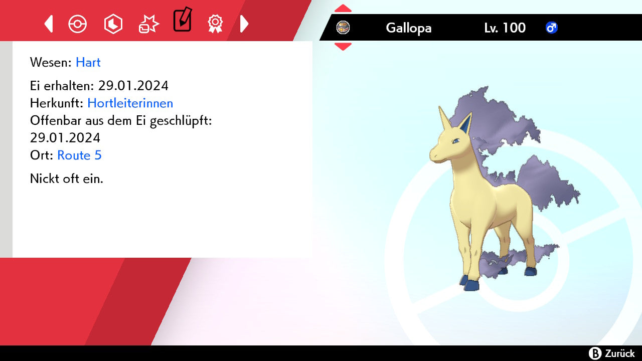 #078 Gallopa SnS