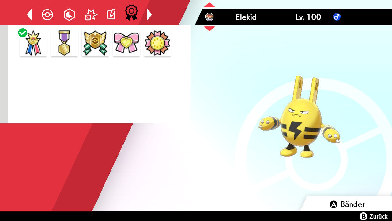 #239 Elekid SnS