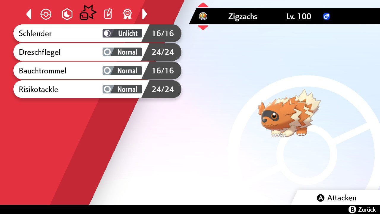 #263 Zigzachs SnS