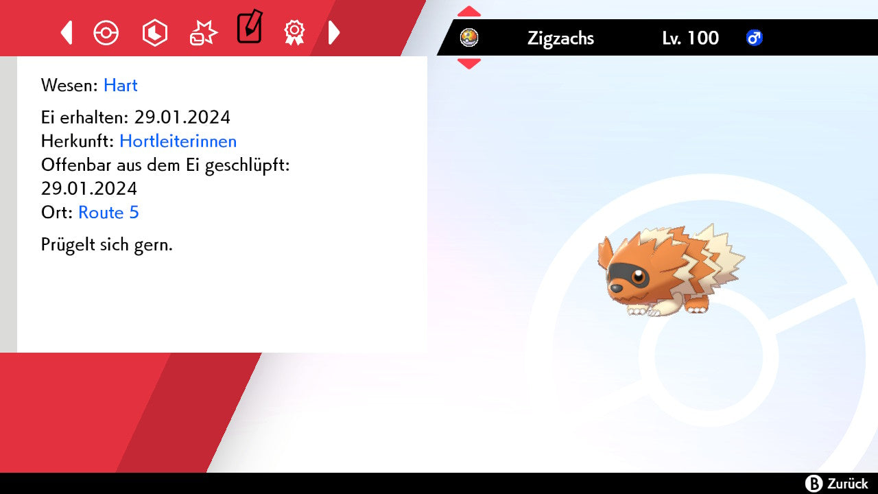 #263 Zigzachs SnS