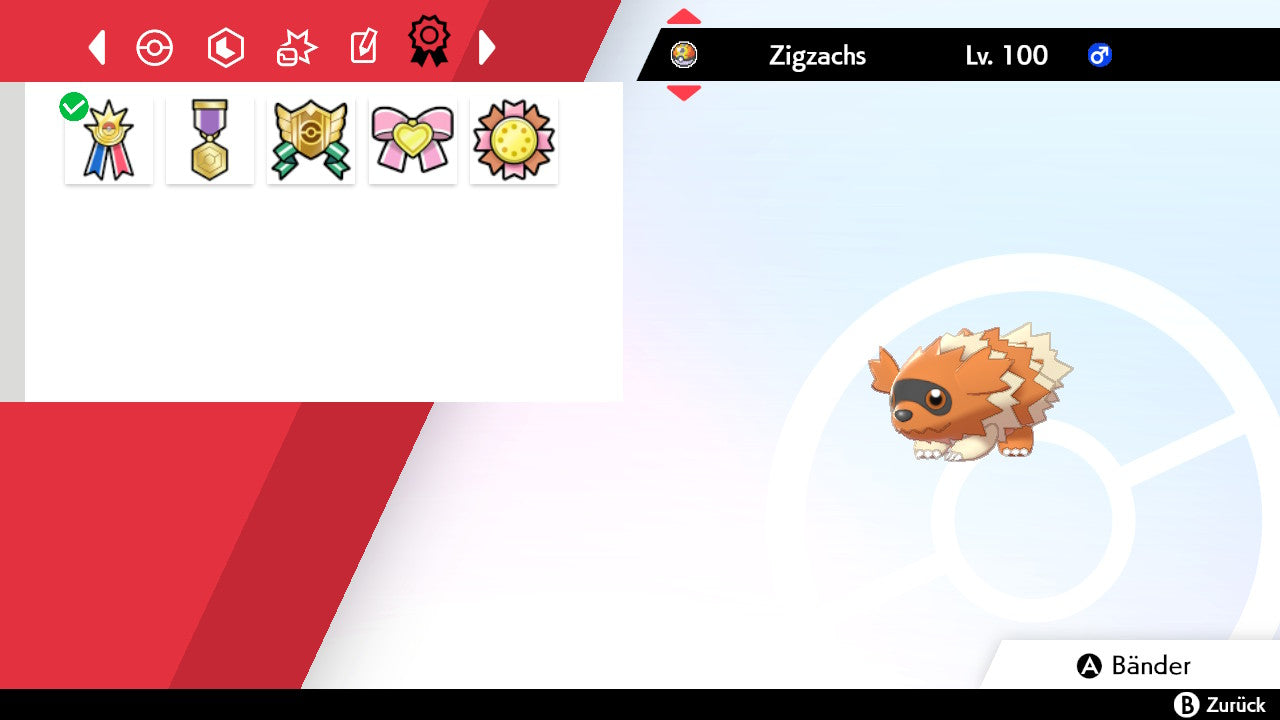 #263 Zigzachs SnS