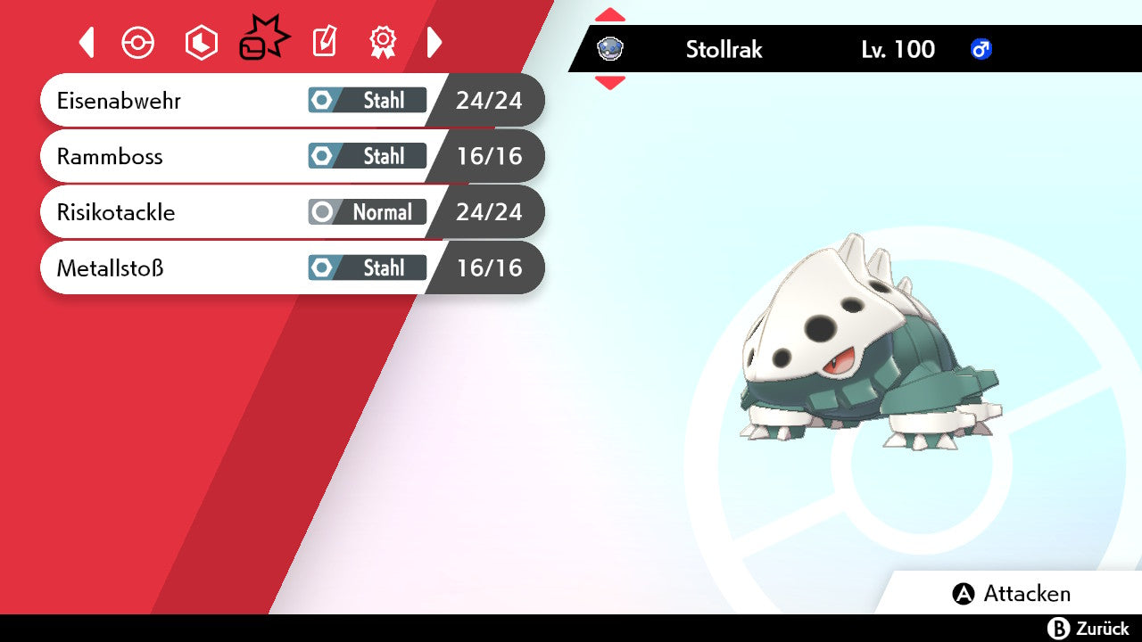#305 Stollrak SnS