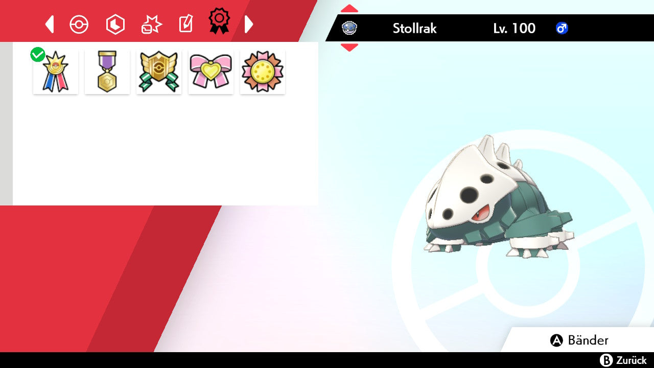 #305 Stollrak SnS
