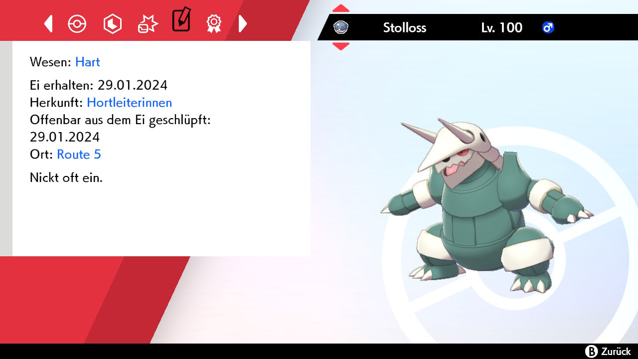#306 Stolloss SnS
