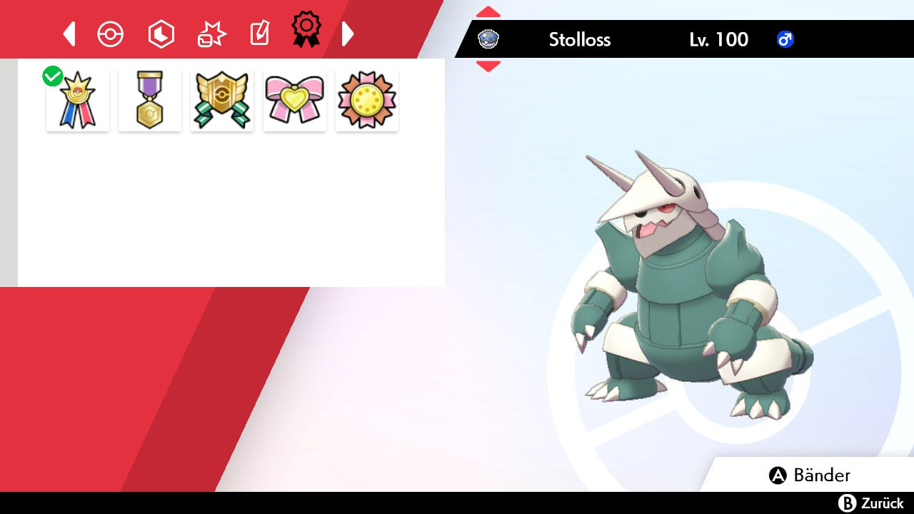 #306 Stolloss SnS