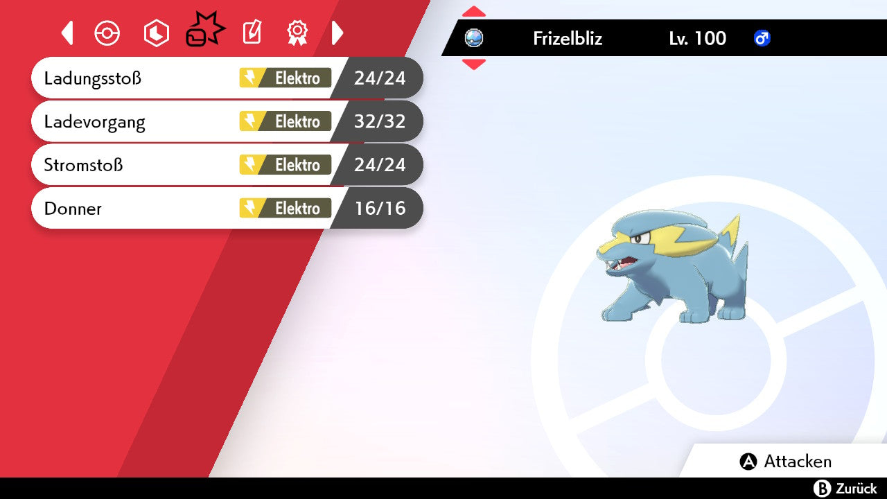 #309 Frizelbliz SnS