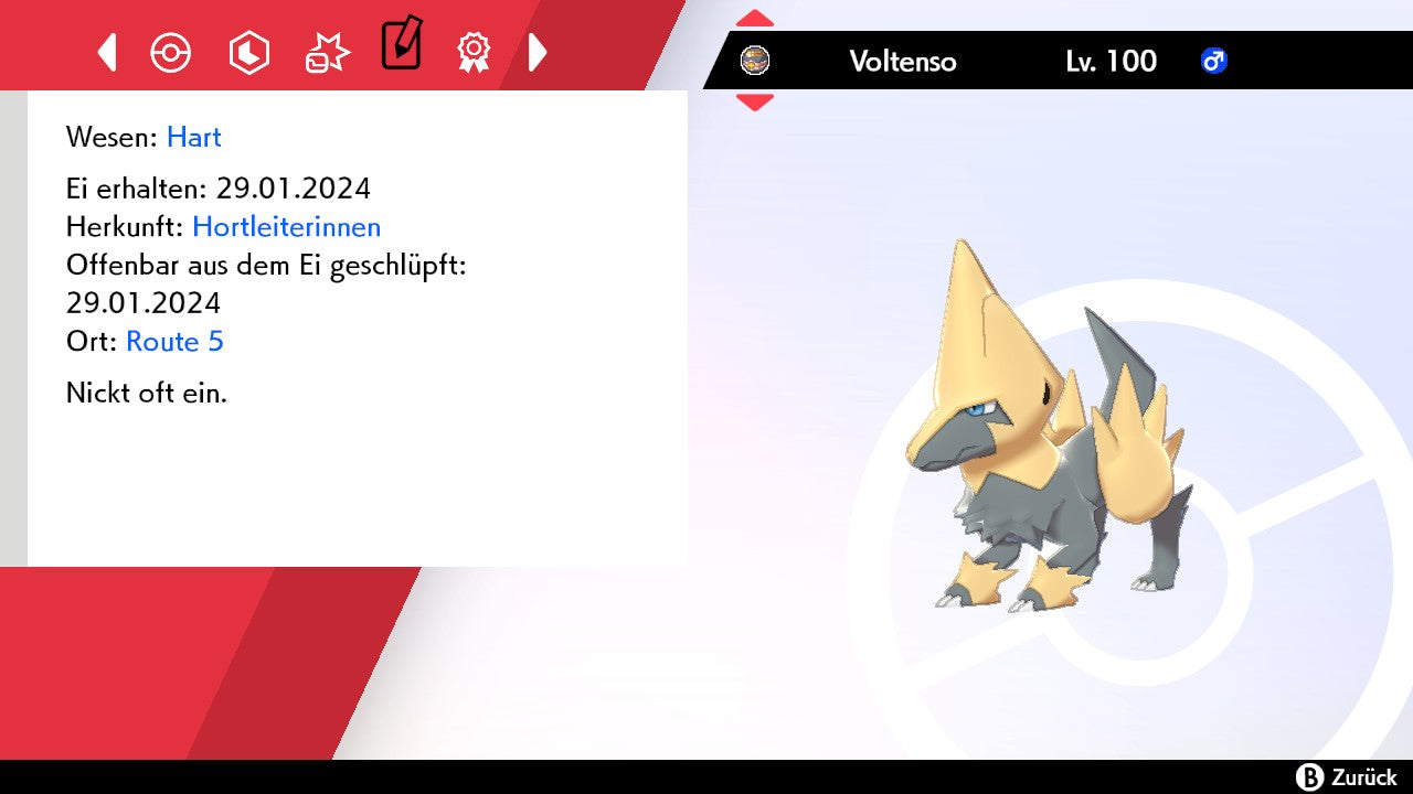 #310 Voltenso SnS