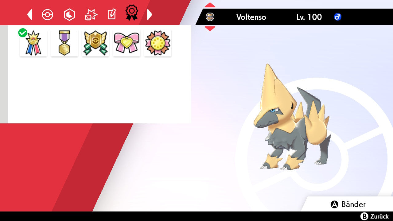#310 Voltenso SnS