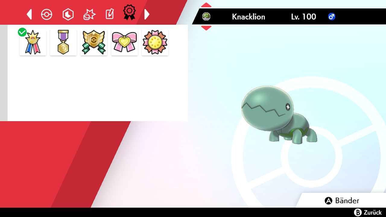 #328 Knacklion SnS