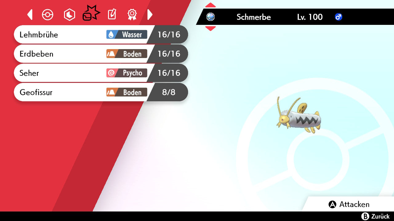 #339 Schmerbe SnS