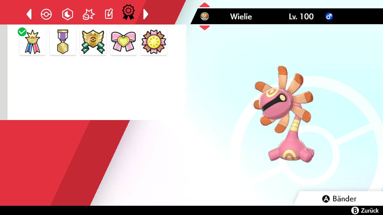 #346 Wielie SnS