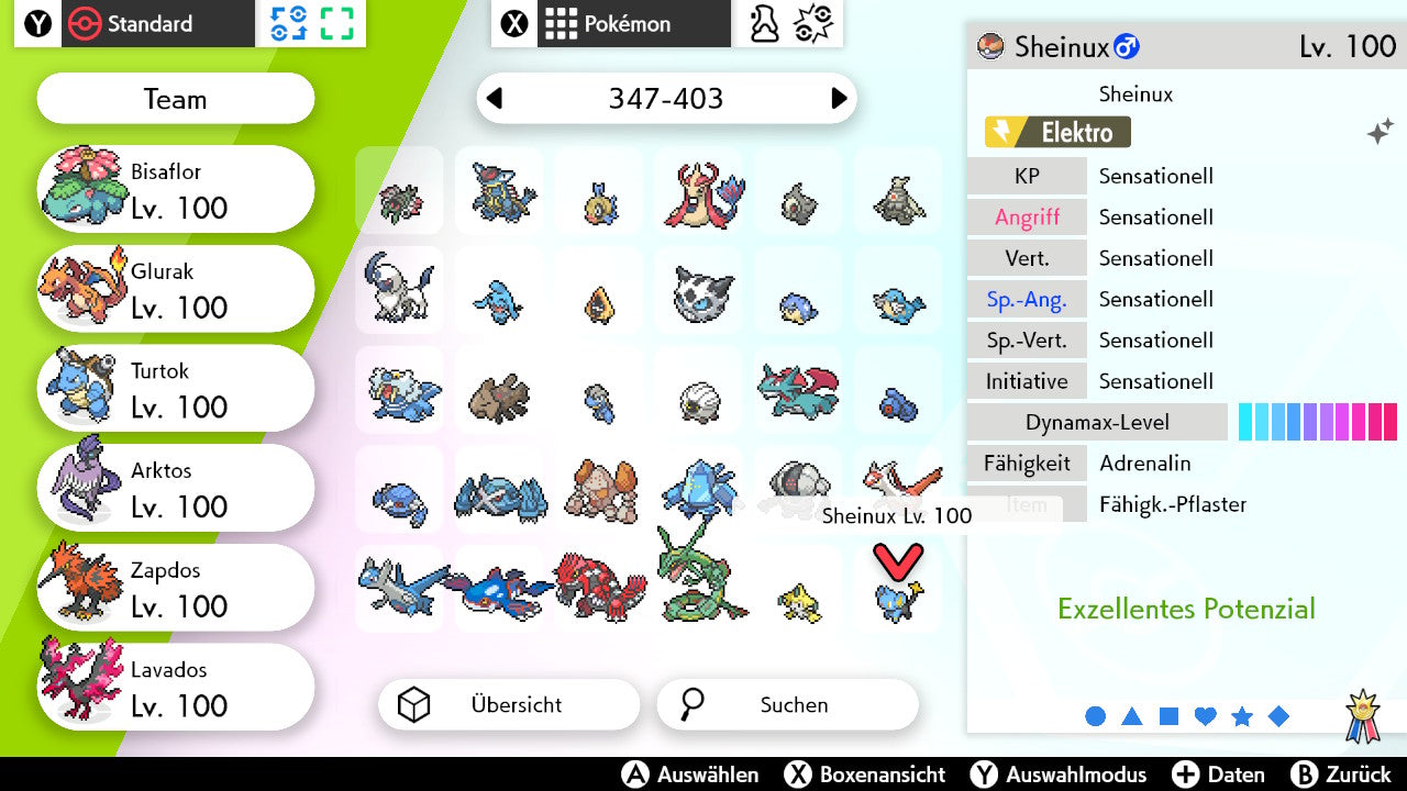#403 Sheinux SnS