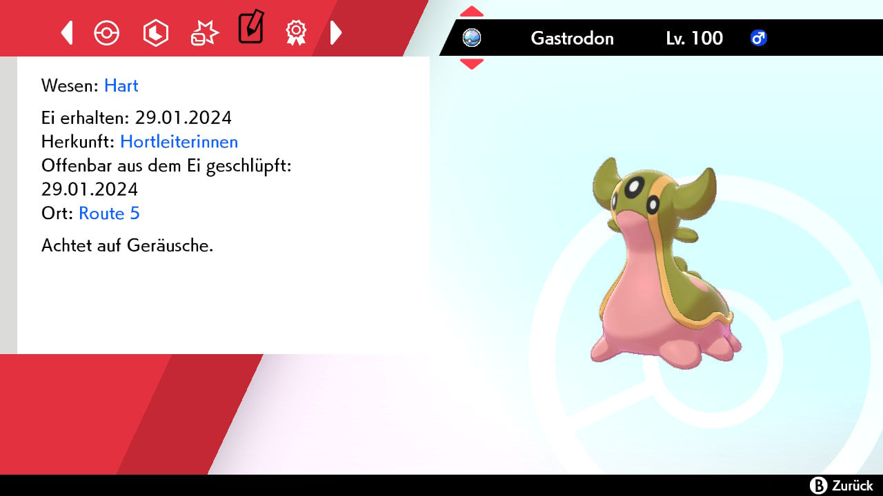 #423 Gastrodon Westliches Meer SnS