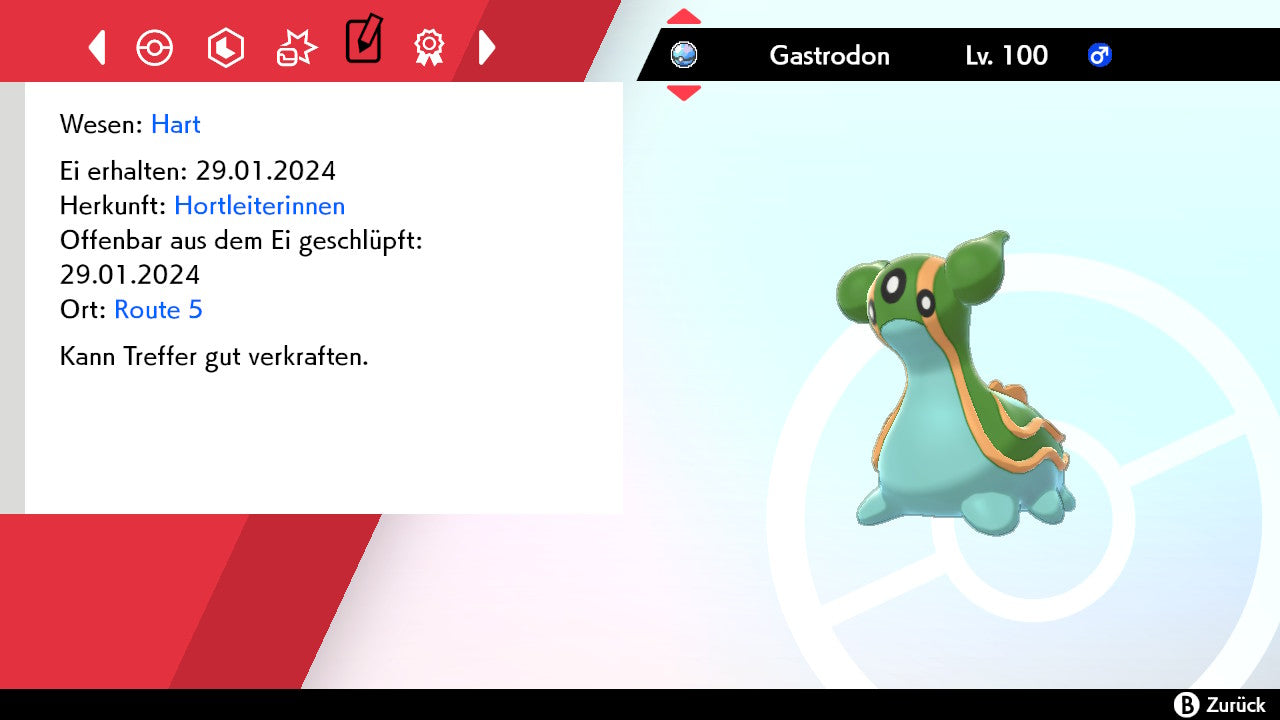 #423 Gastrodon Östliches Meer SnS