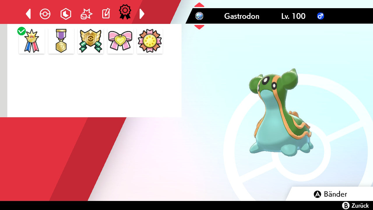 #423 Gastrodon Östliches Meer SnS