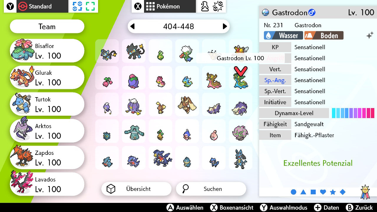 #423 Gastrodon Östliches Meer SnS