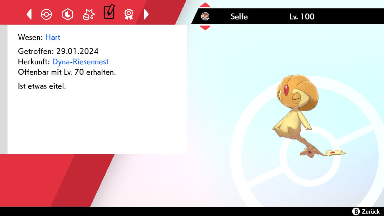 #480 Selfe SnS