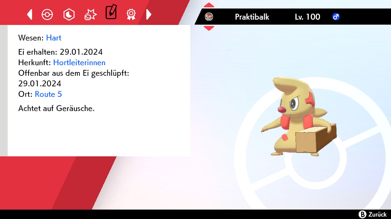 #532 Praktibalk SnS