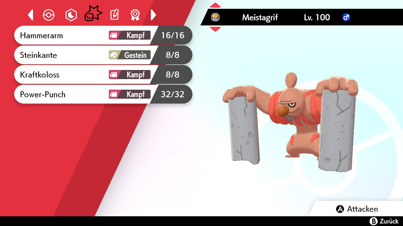 #534 Meistagrif SnS