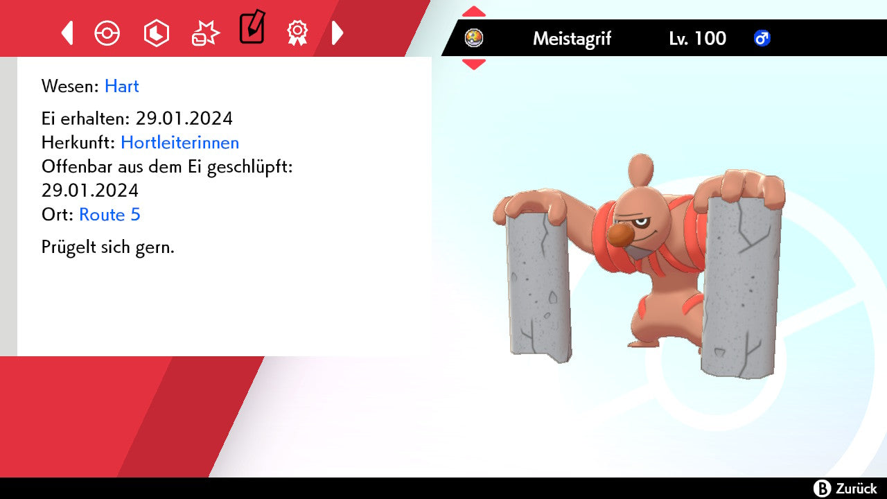 #534 Meistagrif SnS