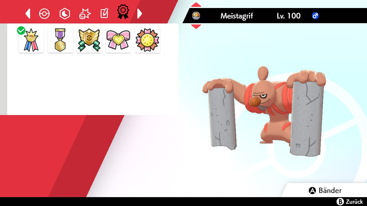 #534 Meistagrif SnS
