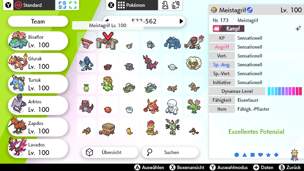 #534 Meistagrif SnS