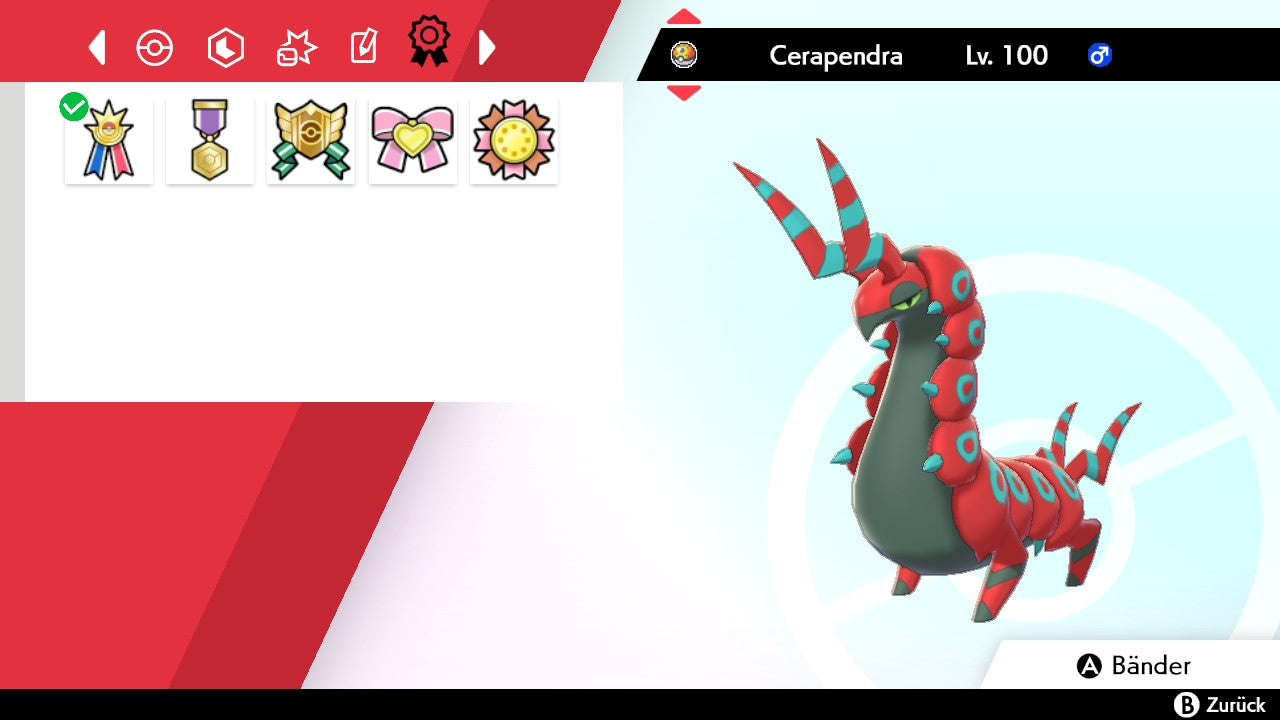 #545 Cerapendra SnS