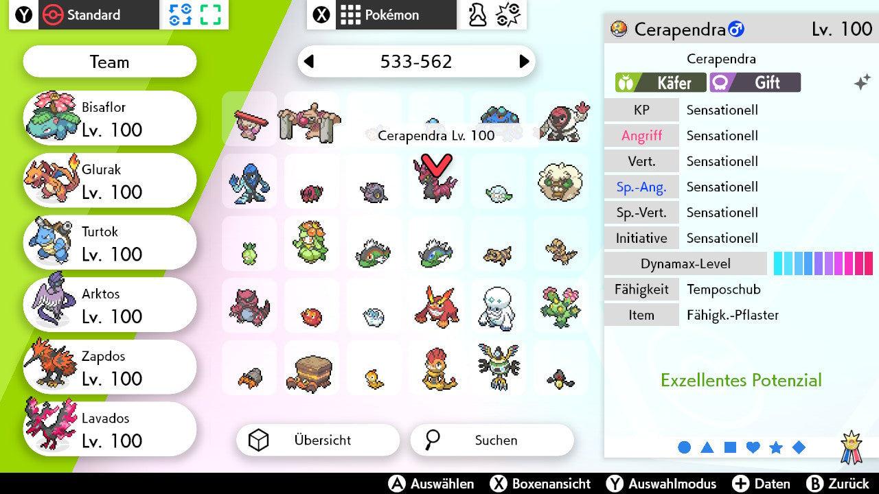 #545 Cerapendra SnS