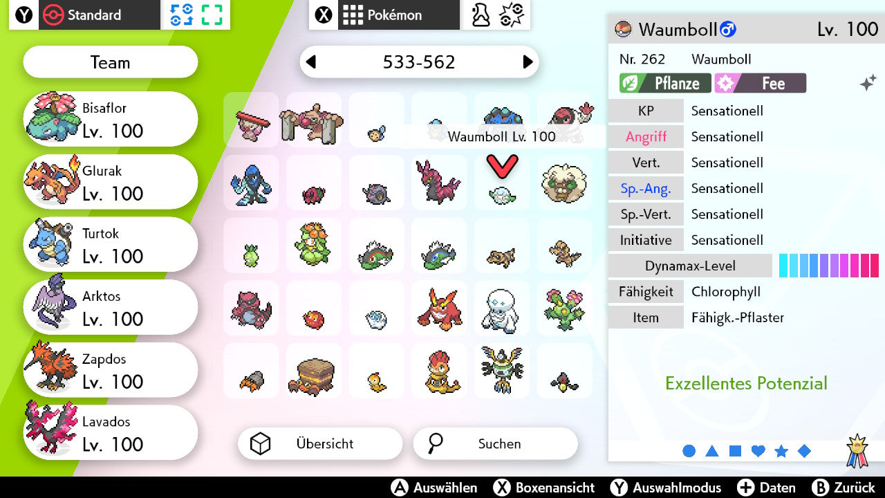 #546 Waumboll SnS