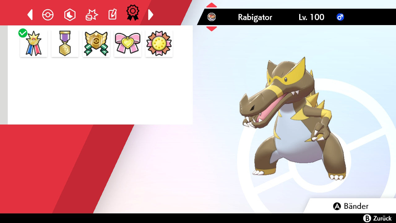 #553 Rabigator SnS