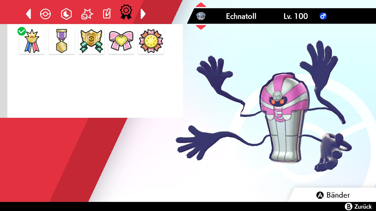 #563 Echnatoll SnS