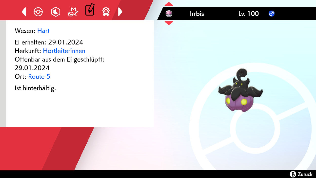 #710 Irrbis Größe M SnS
