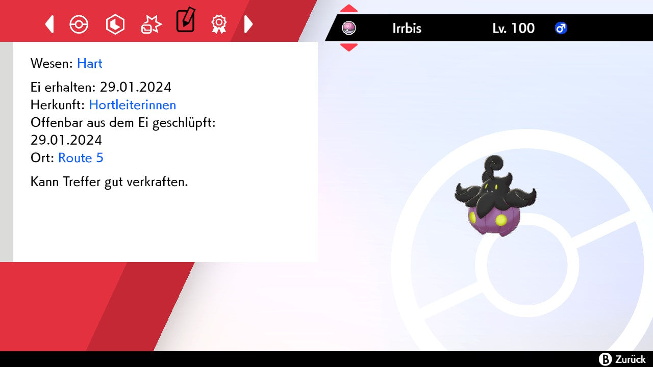 #710 Irrbis Größe S SnS