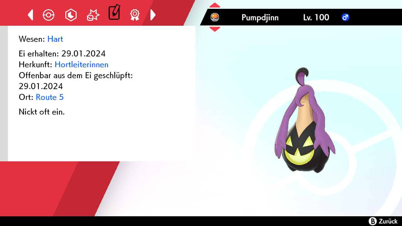 #711 Pumpdjinn Größe M SnS