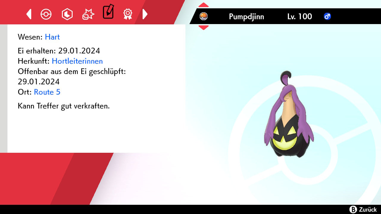 #711 Pumpdjinn Größe S SnS