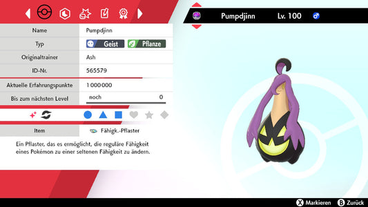 #711 Pumpdjinn taille L SnS