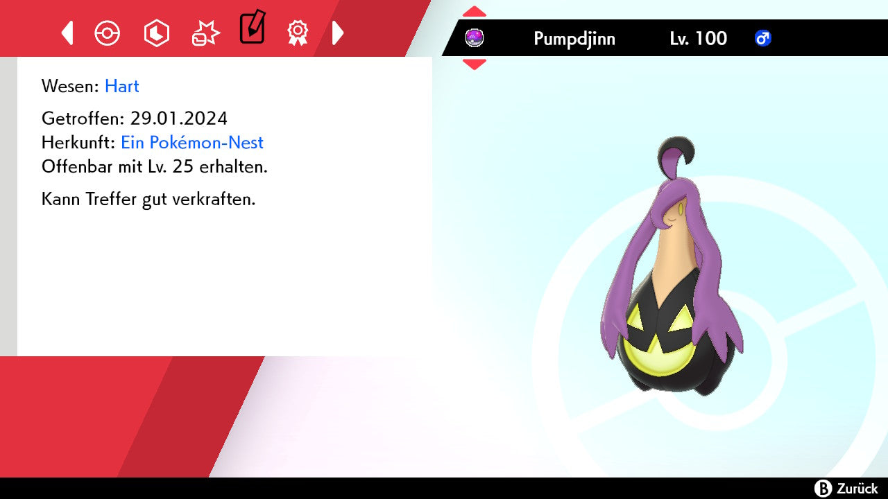 #711 Pumpdjinn Größe L SnS