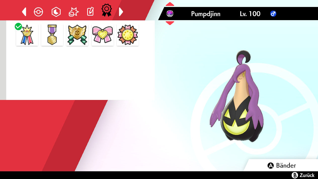 #711 Pumpdjinn Größe L SnS
