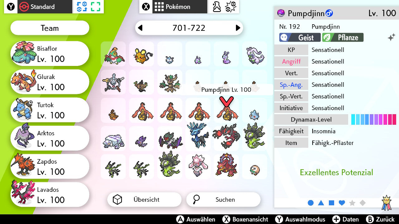 #711 Pumpdjinn Größe XL SnS