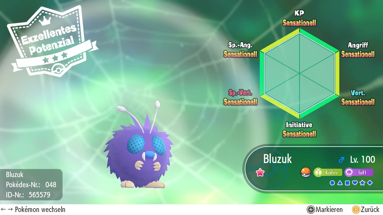 #048 Bluzuk