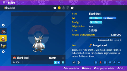 #991 Eisenbündel PVP SV