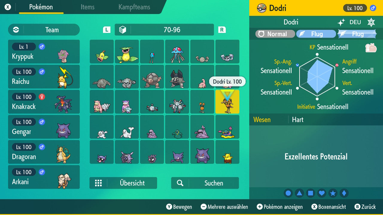 #85 Dodri SV