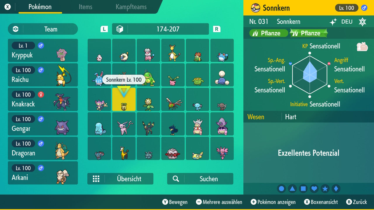 #191 Sonnkern SV