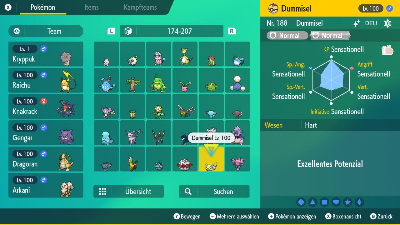 #206 Dummisel SV