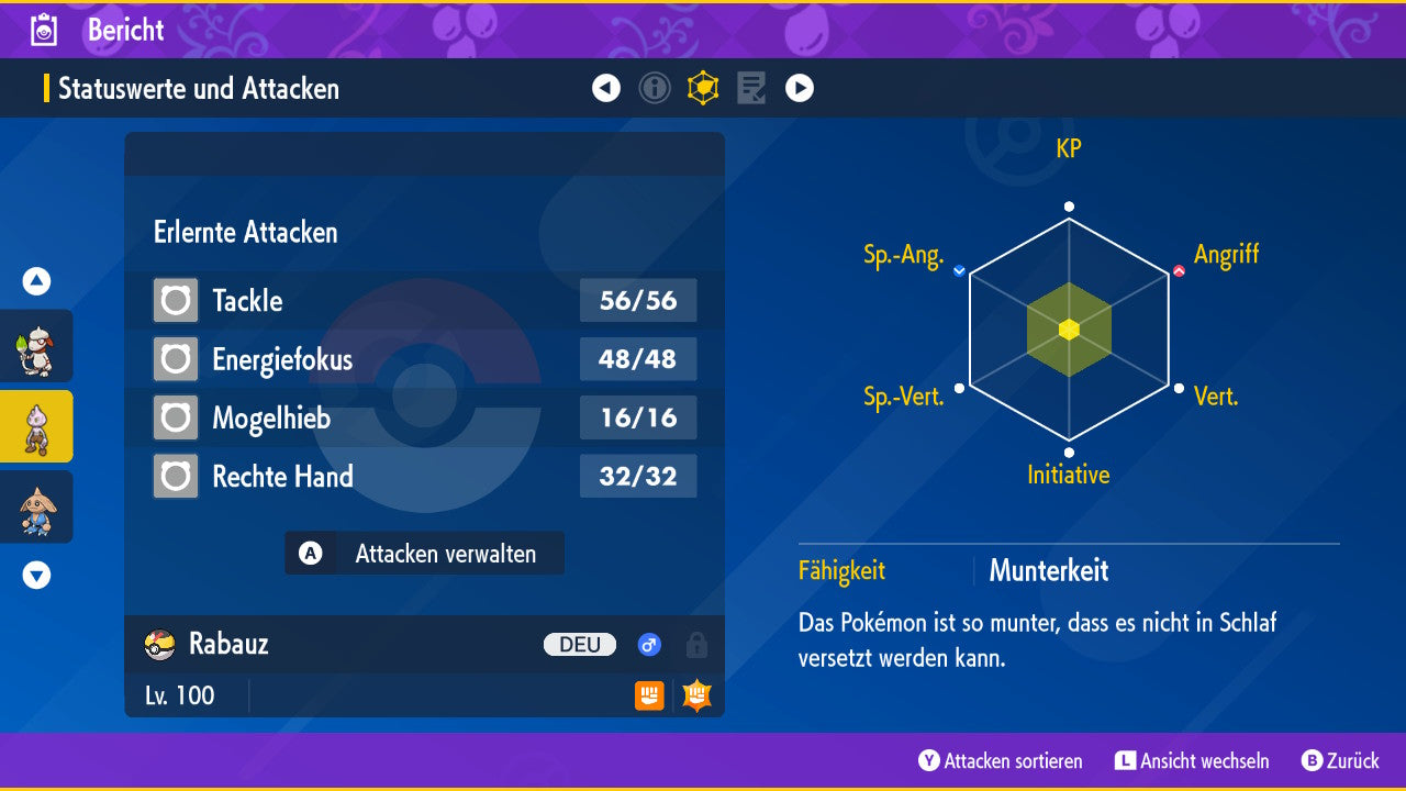 #236 Rabauz SV
