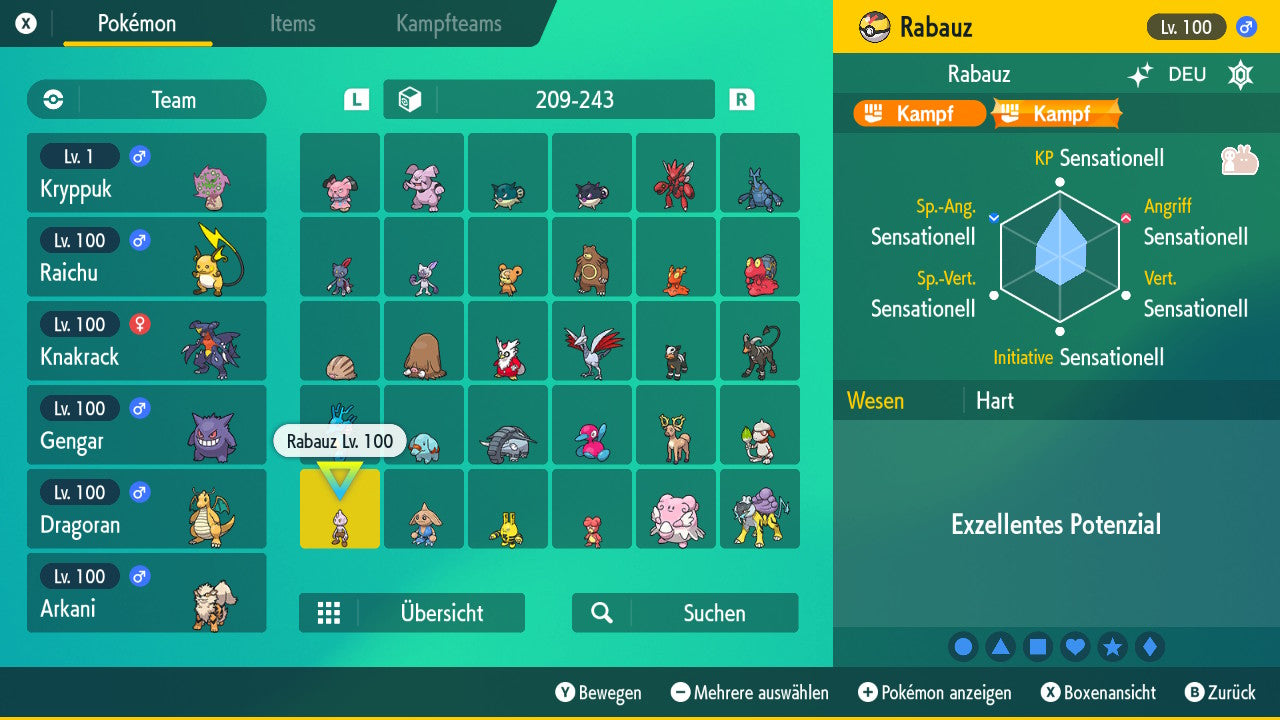 #236 Rabauz SV