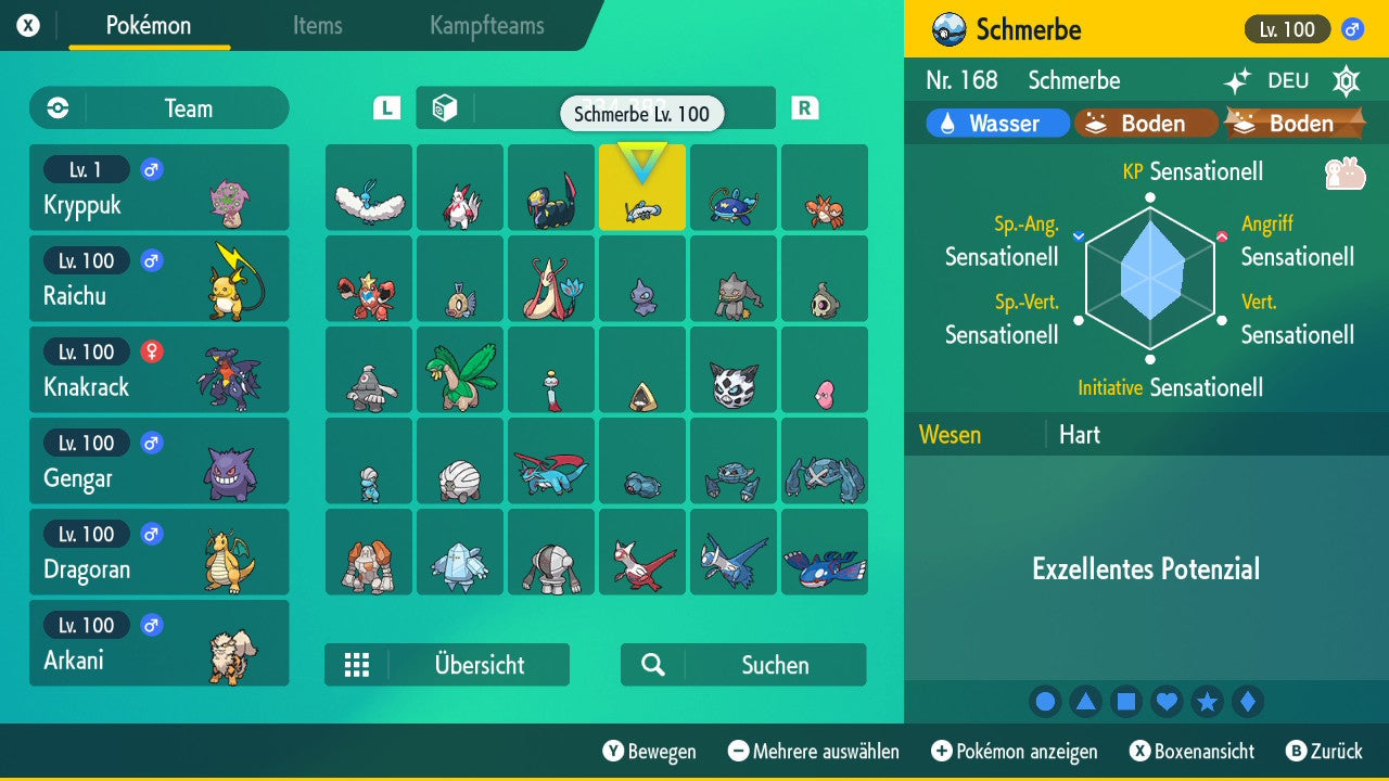 #339 Schmerbe SV
