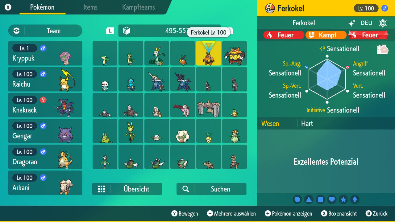#499 Ferkokel SV