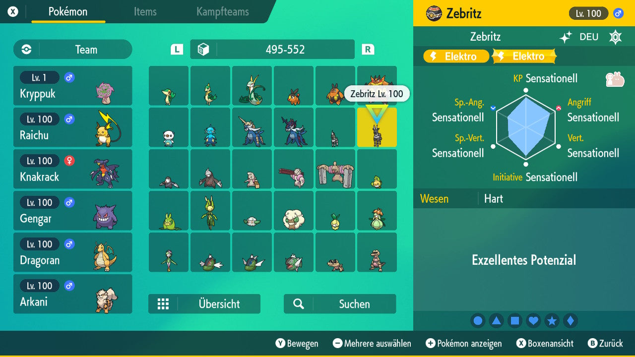 #523 Zebritz SV